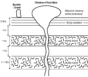 Geologic cross-section of CFN