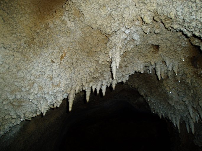 Sirens stalactites